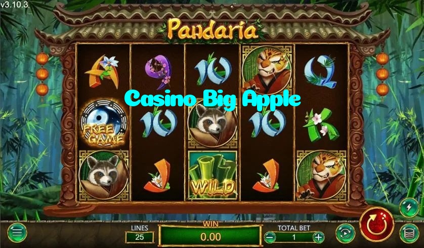 making first deposit on Casino Big Apple website using local payment methods in Pakistan